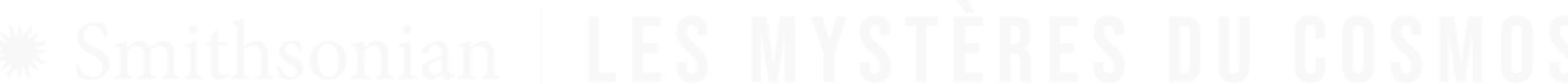 Footer logo